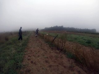 chasse perdreaux hugo daya fibi