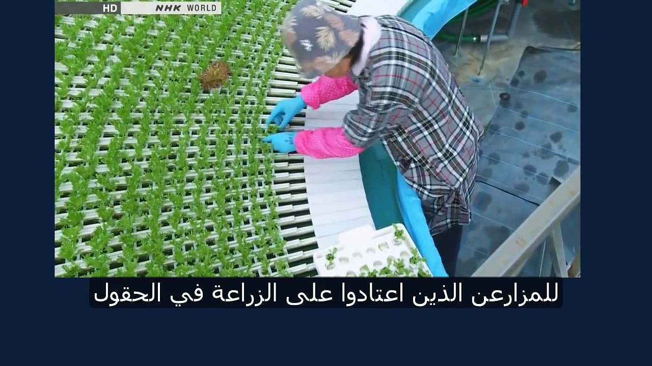 ---الزراعة المائية في اليابان هيدروبونك
