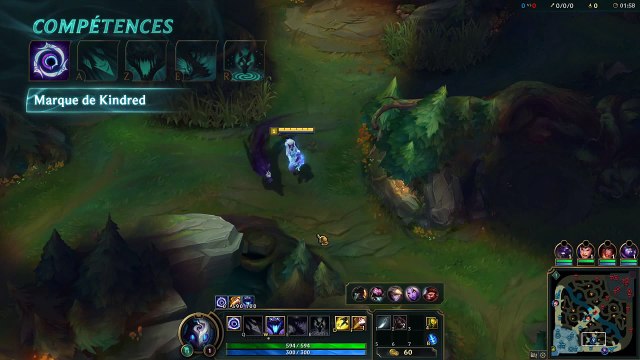 Focus sur Kindred - League of Legends