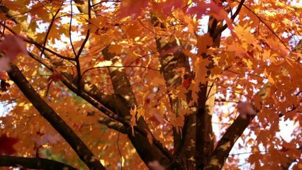 Fun date ideas to heat up a chilly fall