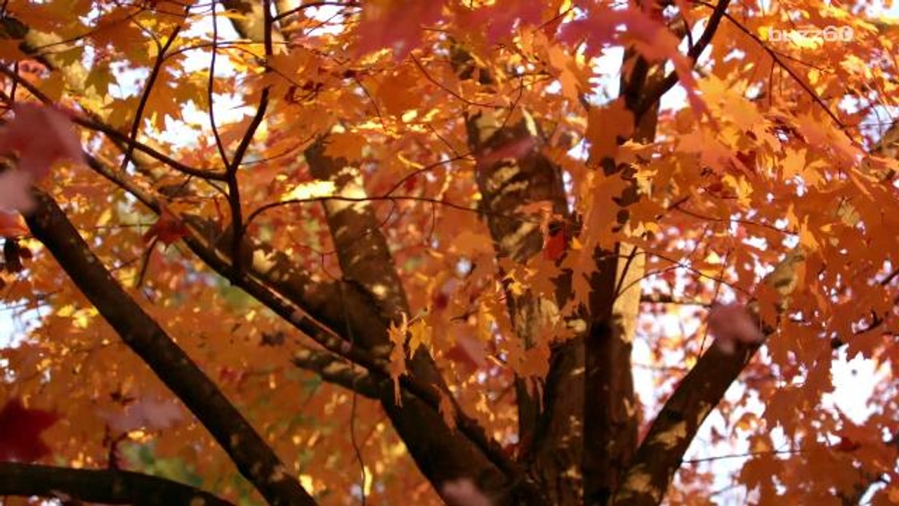 Fun date ideas to heat up a chilly fall