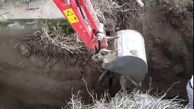 Biz Türkler Gerçekten İnanılmaz İnsanlarız