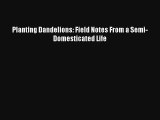 Planting Dandelions: Field Notes From a Semi-Domesticated Life