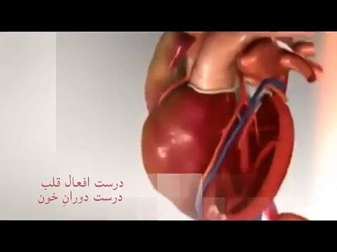 Hair Diseases Dr NA Mazhar %28Dr alternative medicine%29