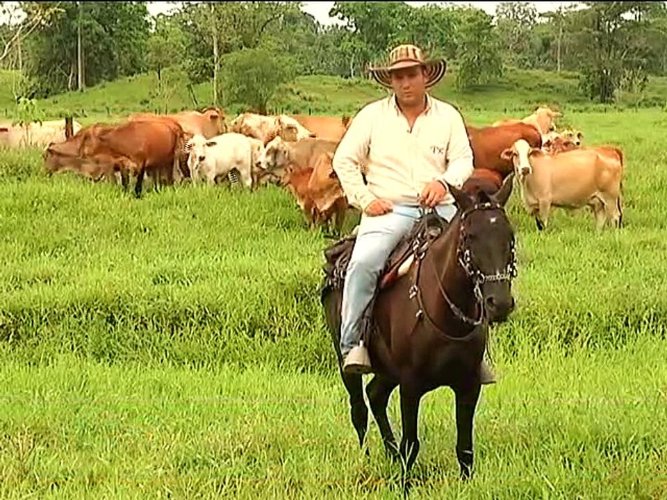 2 de octubre de 2015 Criadero Santa Ines 2