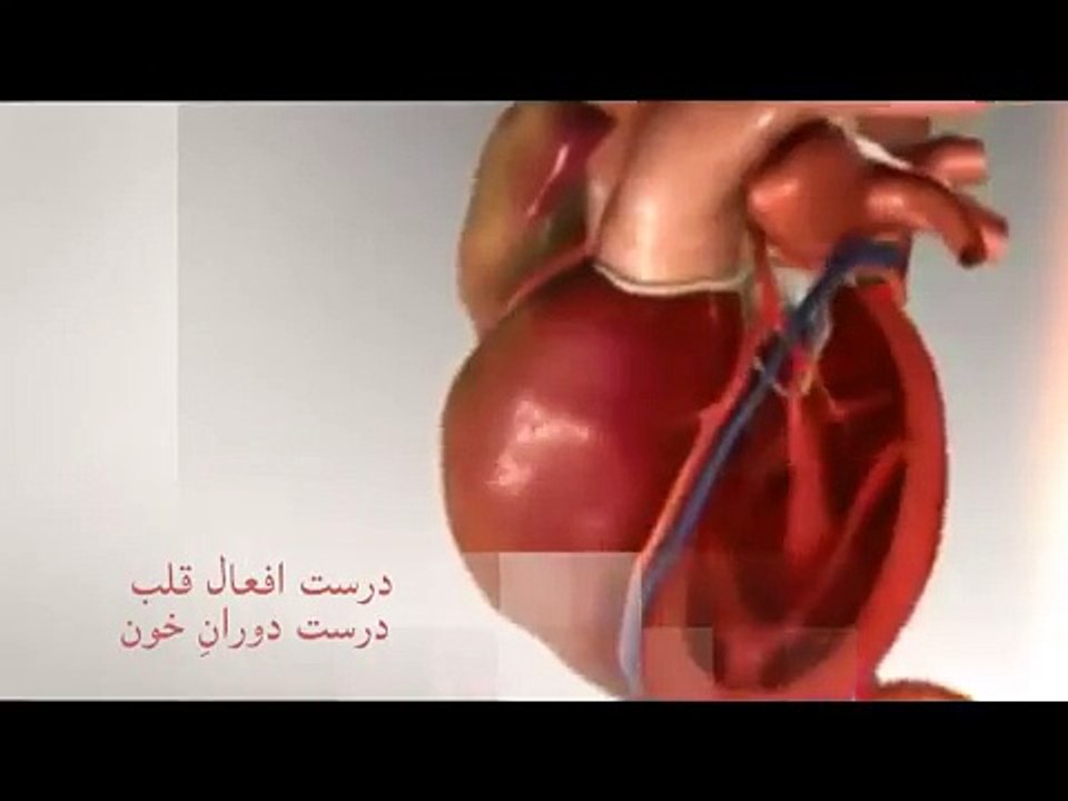 Allergic Asthma Dr NA Mazhar %28Dr alternative medicine%29