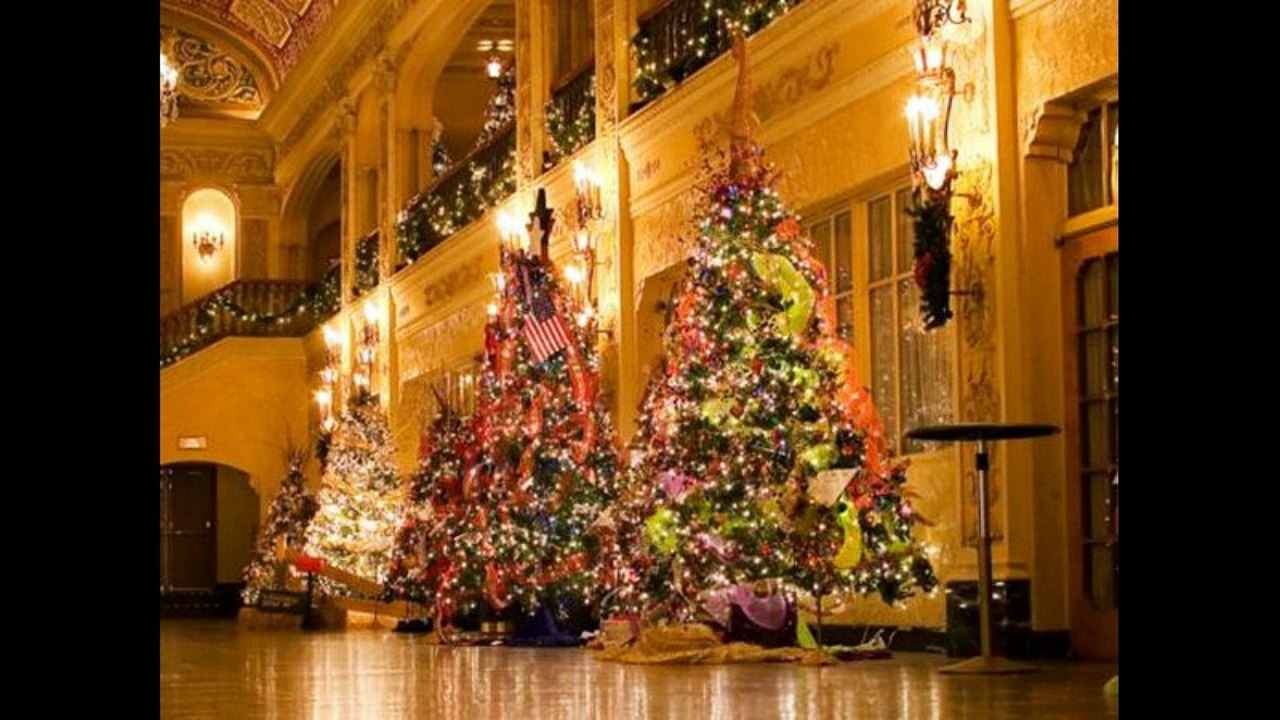 Designer Christmas Trees.Mp4