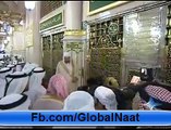 Mohammed bin Rashid Al Maktoum Visiting The Grave Of Prophet Mohammad and Offering Salaam