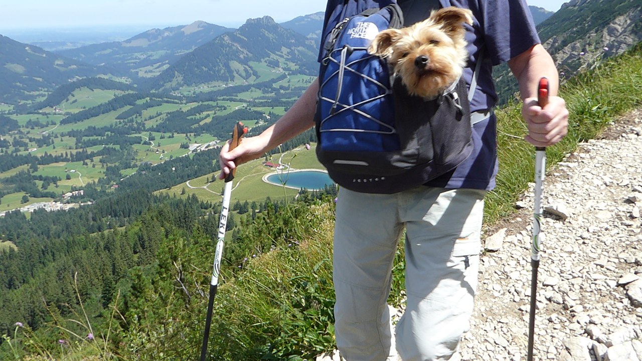 Iseler Gipfel - Kühgund (Oberjoch im Allgäu)