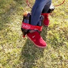 زبردست میجک کا نمونہ دیکھے ۔۔۔ کمال ہے بھائی