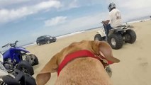 ATV-Quads at Pismo Beach - 5/16/15 (18)