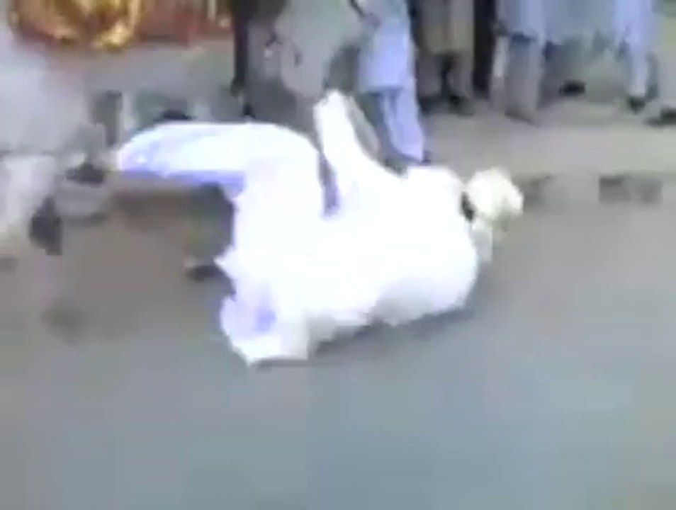 Amazing horses - Very Funny