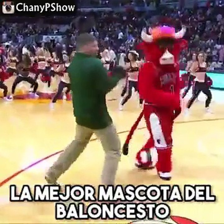 La mejor mascota