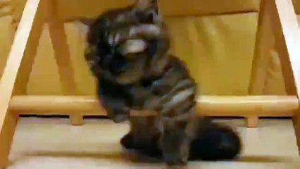 Борьба со сном!