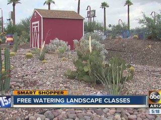 Smart Shopper: Free watering classes in Phoenix