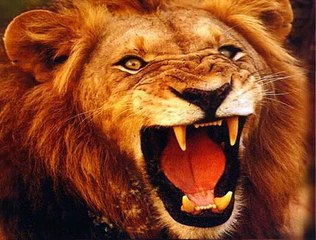 Part 7. Various Topics September 26,2015.