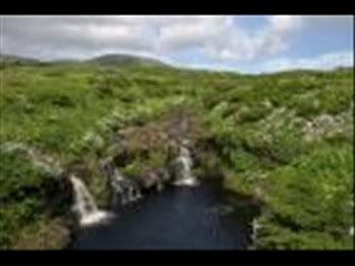 cabo-verde (so cu pé)