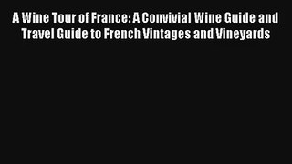 Download A Wine Tour of France: A Convivial Wine Guide and Travel Guide to French Vintages