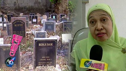 Makam Hewan, Sisi Lain Ibukota - Cumicam 06 Oktober 2015