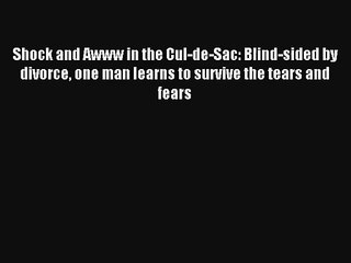Shock and Awww in the Cul-de-Sac: Blind-sided by divorce one man learns to survive the tears