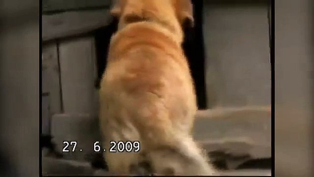 Всем бы людям такую душу