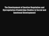 The Development of Emotion Regulation and Dysregulation (Cambridge Studies in Social and Emotional