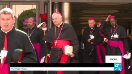 Synod on the family highlights divisions within Catholic Church