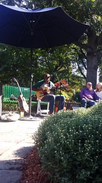 Version magique de Shake It Off de Taylor Swift en mode Blues!!!