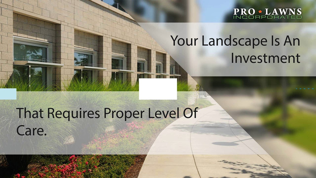 Quality Lawn Maintenance Services in St Louis - Watch Now!