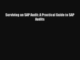 Surviving an SAP Audit: A Practical Guide to SAP Audits