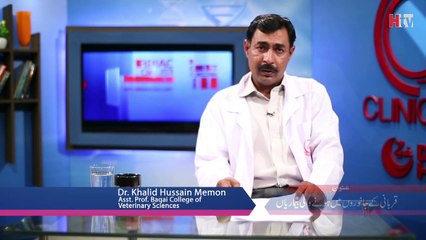 Qurbani Kai Janwaroon Mai Bemarian - Clinic Online - HTV