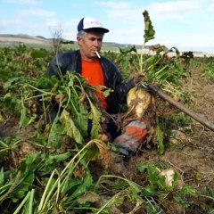 Taner olgun Belki beterlere gücüm yeterde