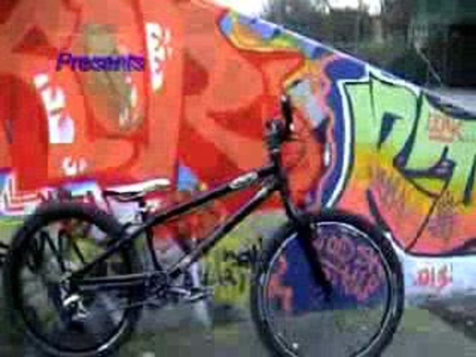 danny holroyd after trialskings