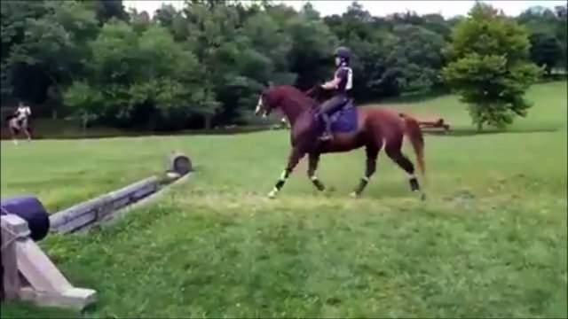 Un cheval très très prudent...