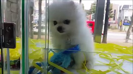 휴대폰소액결제〖010⇔3552⇔5814〗핸드폰소액결제 현금화,정보이용료 현금화,추가결제