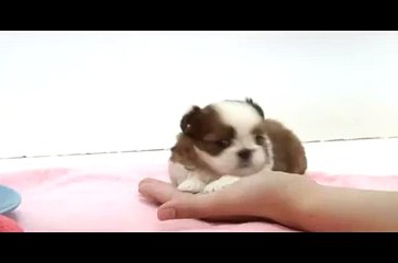 〖추가결제〗〖010◁3552◁5814〗〖정보이용료현금화〗〖핸드폰소액결제현금화〗