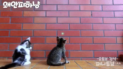 『fOu you;?핸드폰소액결제↔010⇔5906⇔0190↔ 정보이용료현금화セ핸드폰소액대출