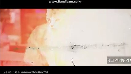 토토사이트 제작 카톡:totolive 스카이프:totolive001