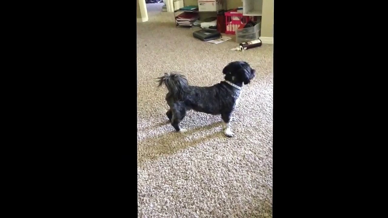 Funny clips One minute video that will et you laughing | new latest funny clip 2015