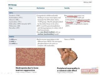 Microbiology Antimicrobials Part 3