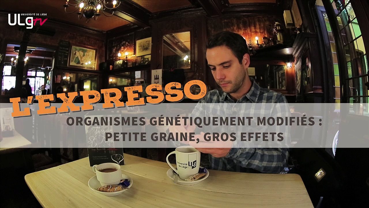 Organismes génétiquement modifiés : petite graine, gros effets ?