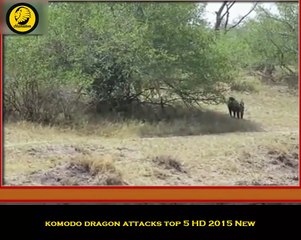 Lion vs. Hyena vs . Baboon vs Buffalo Deadly fights 2015 HD