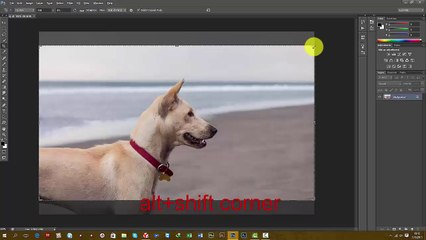 Photoshop: How to Create a Drawing