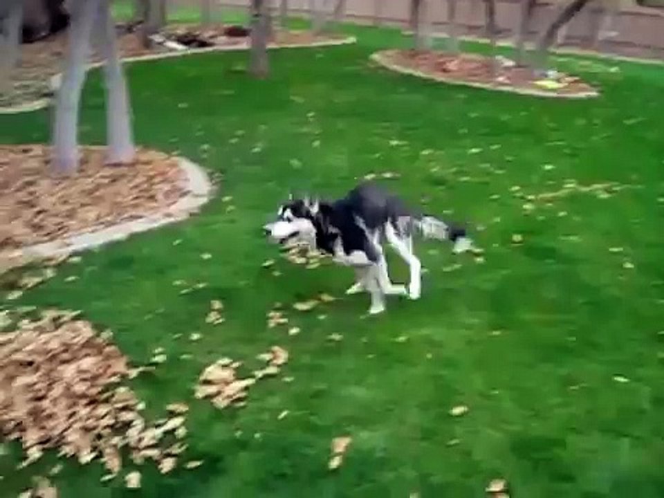 Осень же! Осень!!!!