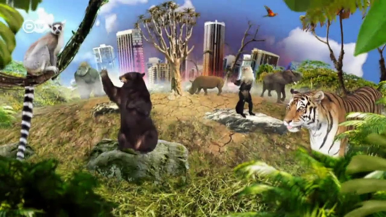 Auf der Suche nach dem letzten Einhorn | Global 3000