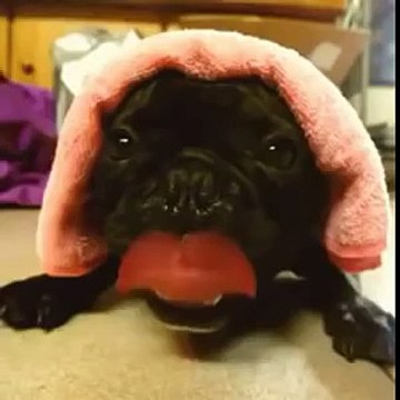 Как работает дизельный двигатель