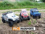 RC Modélisme Nantes : Scale Trial Crawler 4x4 Butte de la Roche 44 Loire Atlantique Grand Ouest