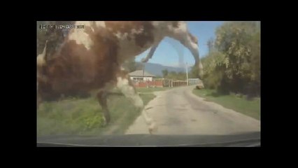 Car crashes compilation Accident | Compilation d'accident de voiture n°257 | Road rage | авария