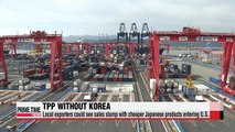 Experts say local exporters could suffer if Korea doesn't join TPP