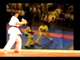 karate vs aikido